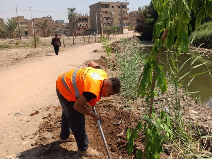 زراعة الأشجار مع أهالي قوص